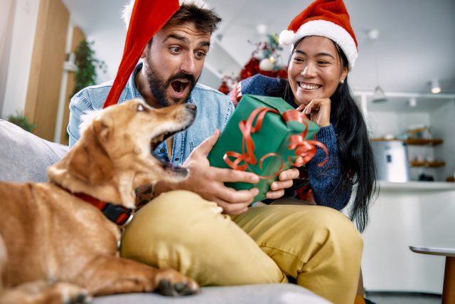 Man and dog excited opening presents