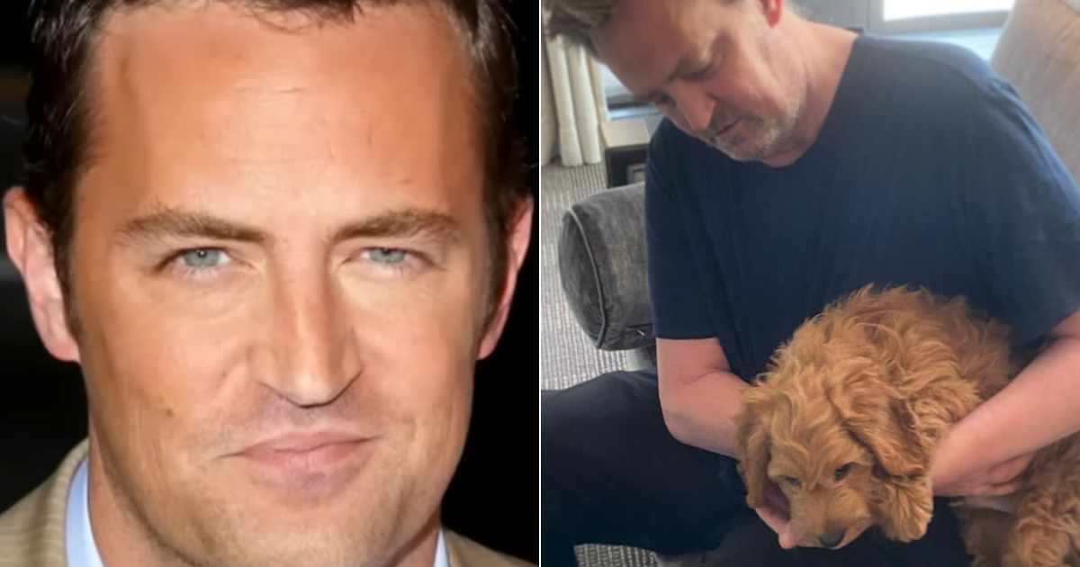 Friends cast-mate to adopt Matthew Perry's beloved dog Alfred