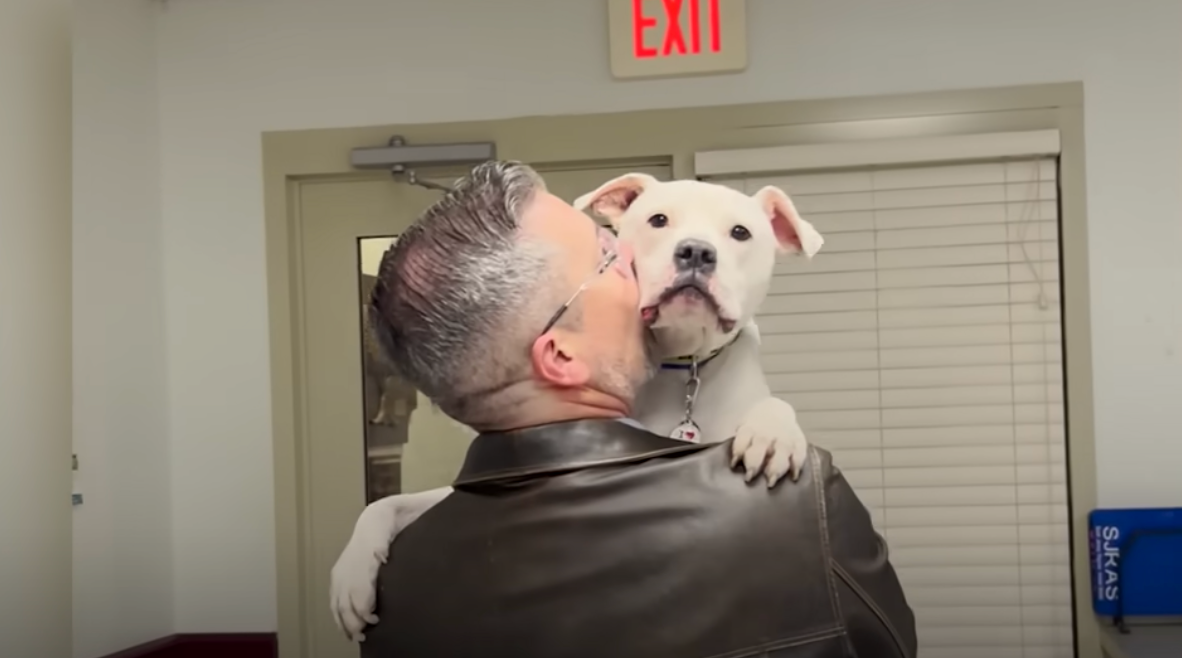 People 'Judged' Him For Adopting Broken Dog But Knows He Has An 'Advantage'