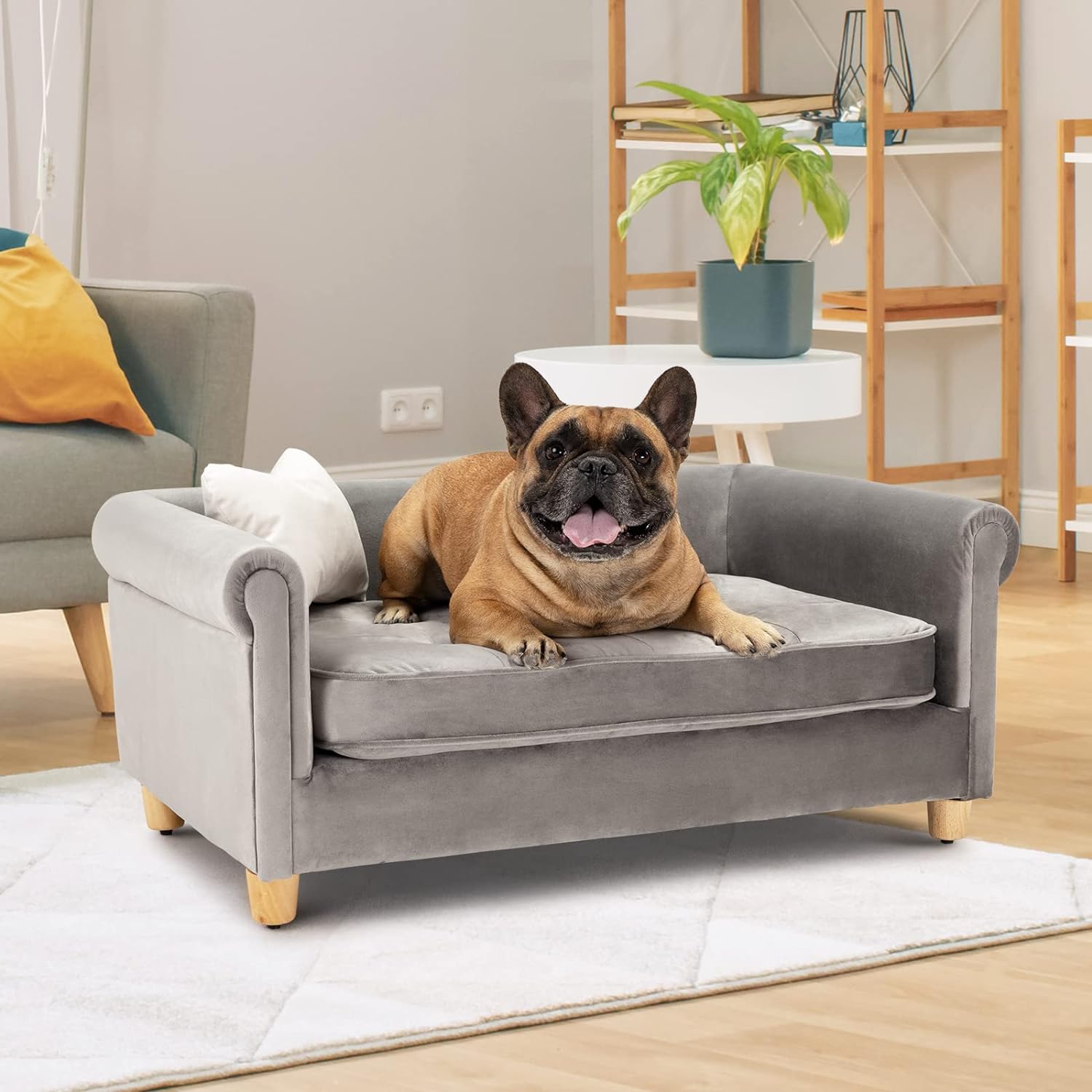 dCee Medium Pet Sofa