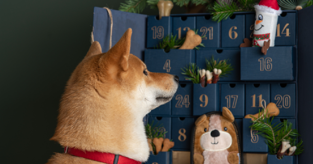  Himalayan Dog Chew 24 Joyful Days Dog Advent Calendar