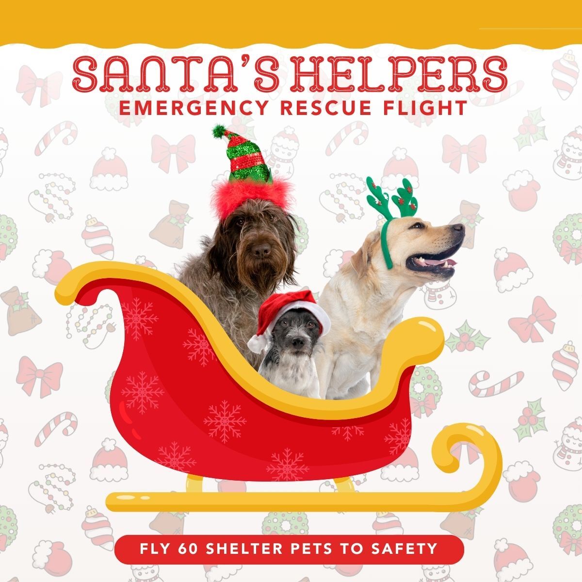 Santa's Helpers Rescue Flight - Donate To Help Shelter Pups Fly To Safety