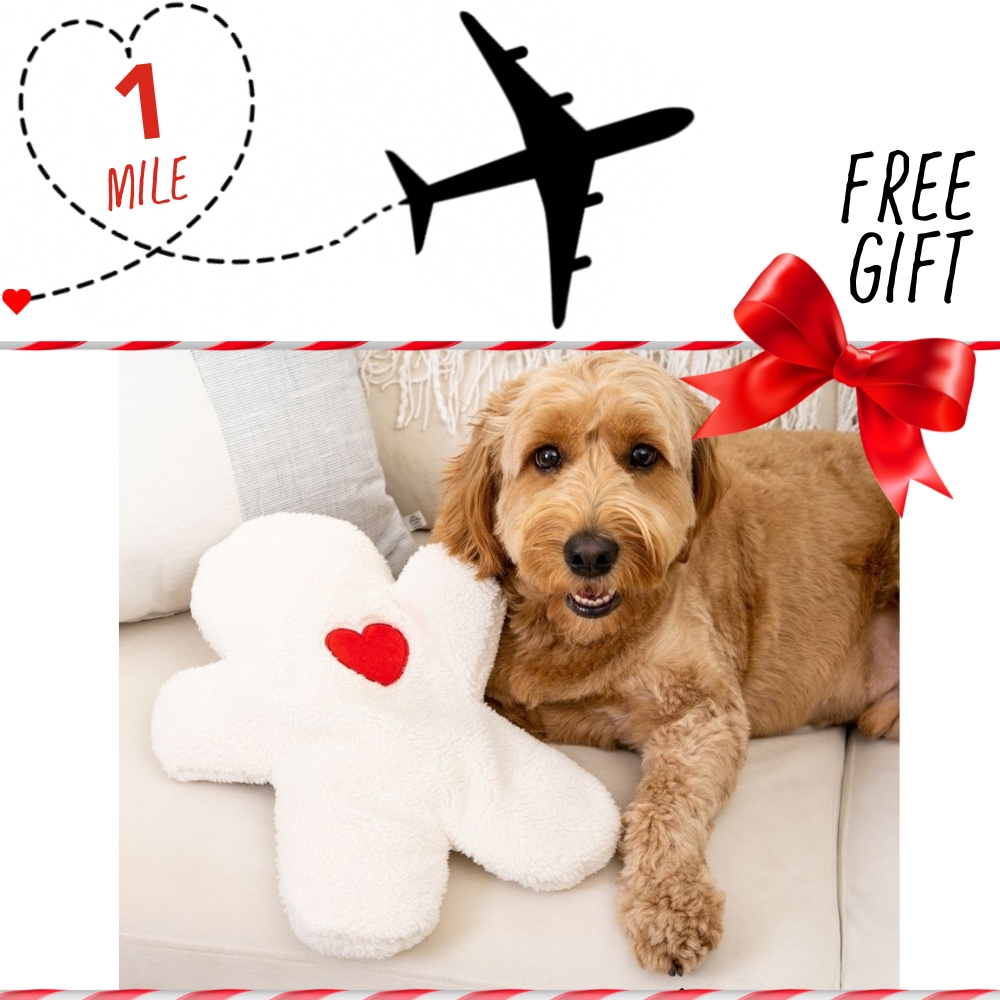 Image of Support Second Chance Santa Dog Rescue Flight and get this Gift of Comfort Cuddler Buddy - Leave Your Scent with Your Dog When You’re Not Home - Dog Anxiety and Calming Aid