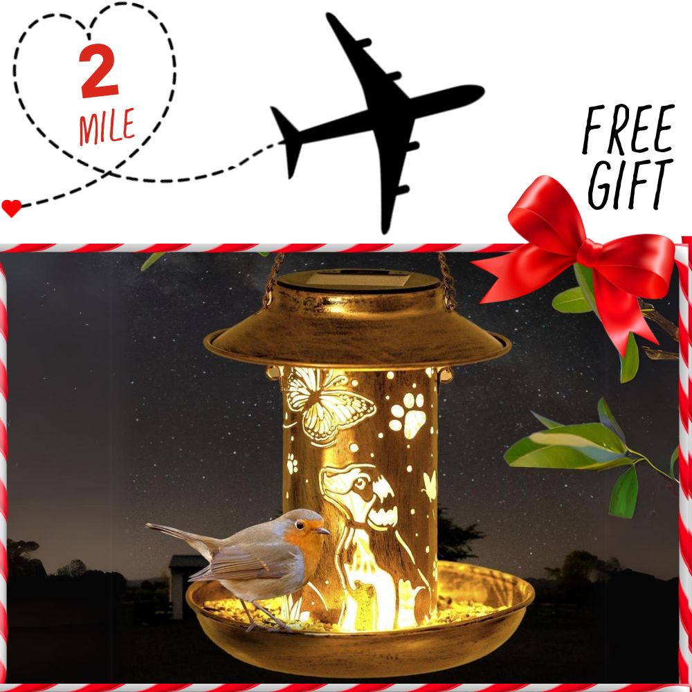 Image of Support Second Chance Santa Dog Rescue Flight and get this Gift of Enchanted Garden Bird Feeder- Inspirational Dog & Butterfly Home Decor