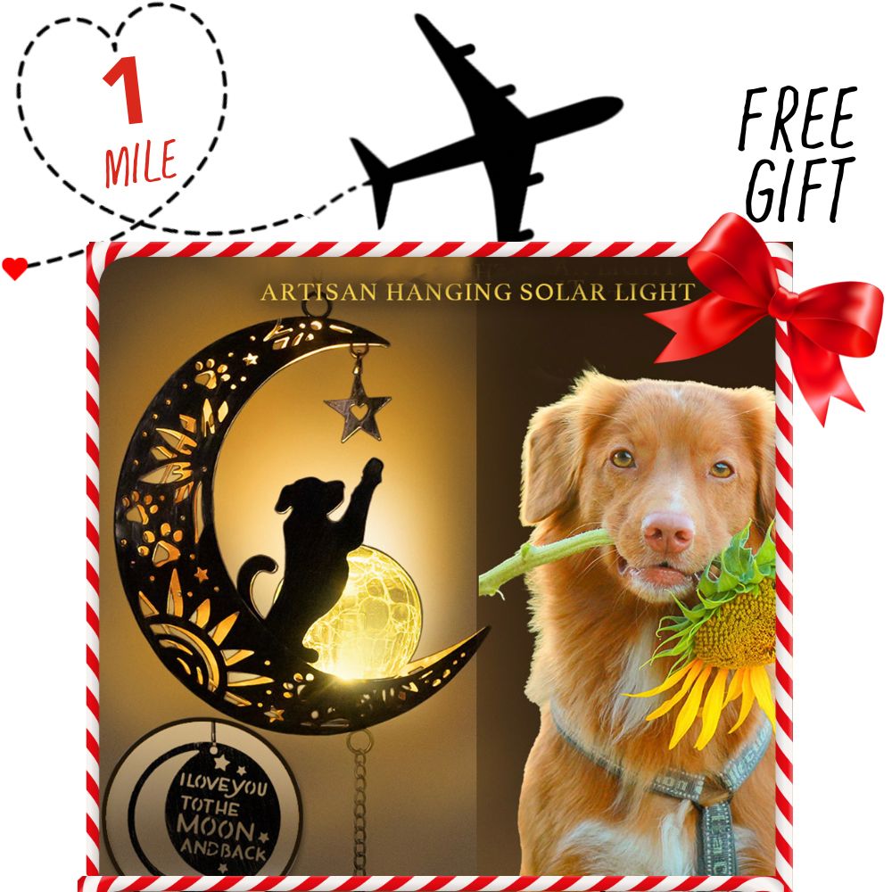 Image of Support Second Chance Santa Dog Rescue Flight and get this Gift of I Love You To The Moon & Back- Garden Solar Lantern for Dog Lovers