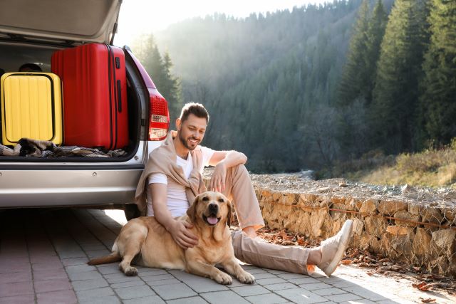 Dog traveling with human