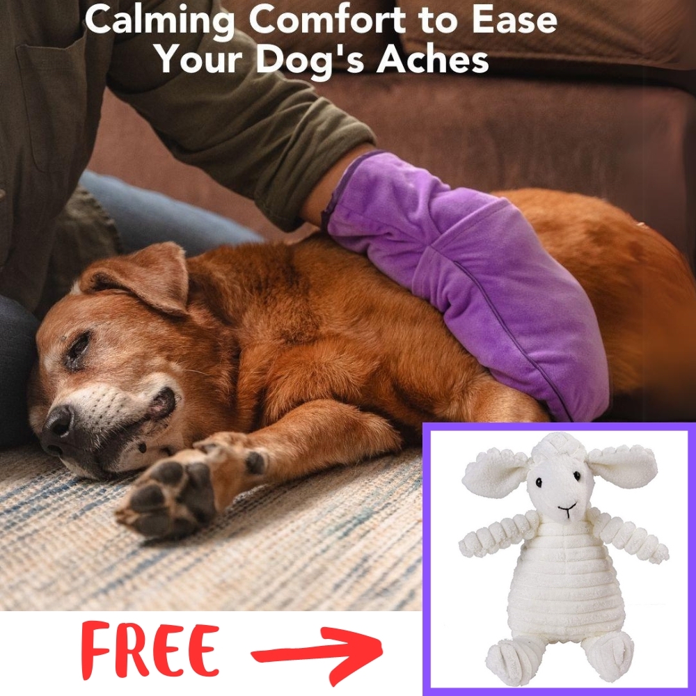 Image of Attention Senior Dogs Moms - FREE Layla The Lamb Dog Plush Toy with Squeaker with Purchase of Helping Hand Heat Therapy Glove: Soothe Your Senior Dog’s Sore Joints