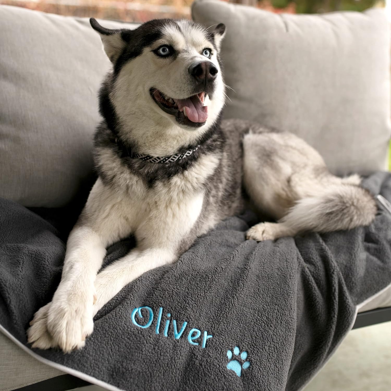 GoTags Personalized Dog Blanket