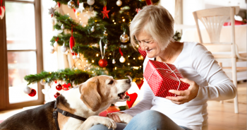 Older woman with dog on Christmas