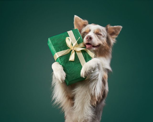 gifts for dog lovers under $20