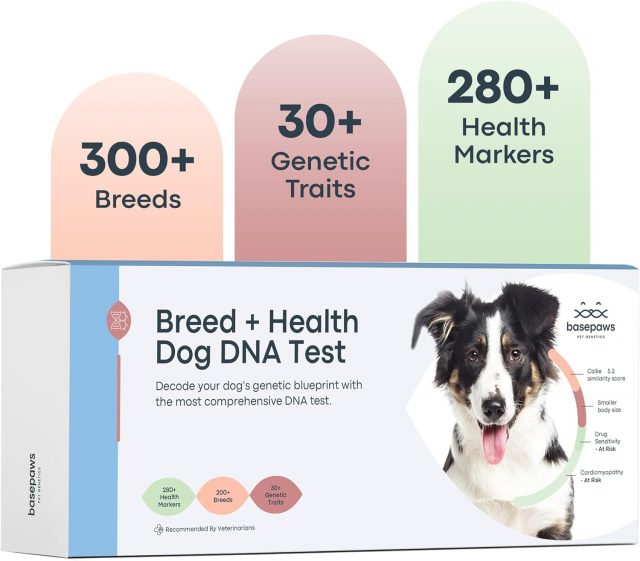 Basepaws Dog DNA test