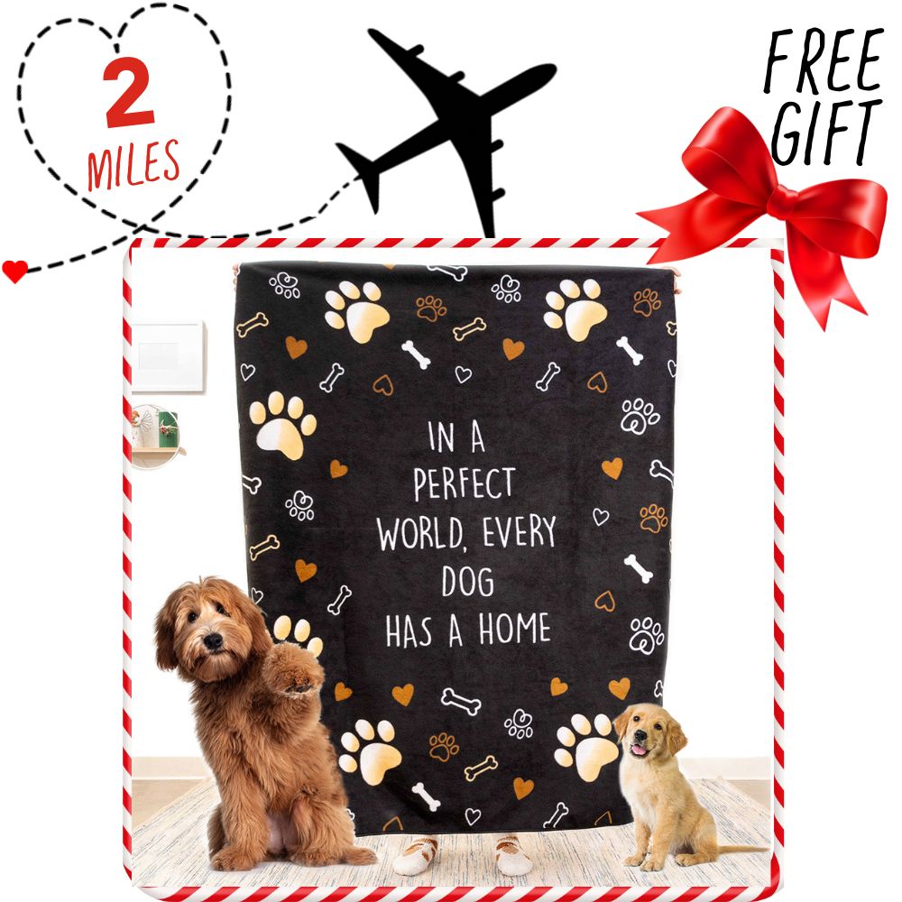 Image of Support Second Chance Santa Dog Rescue Flight and get this Gift Of A In A Perfect World Every Dog Has A Home Polar Fleece Blanket – Ultra Soft Blanket Dog Lovers 50″x 60″