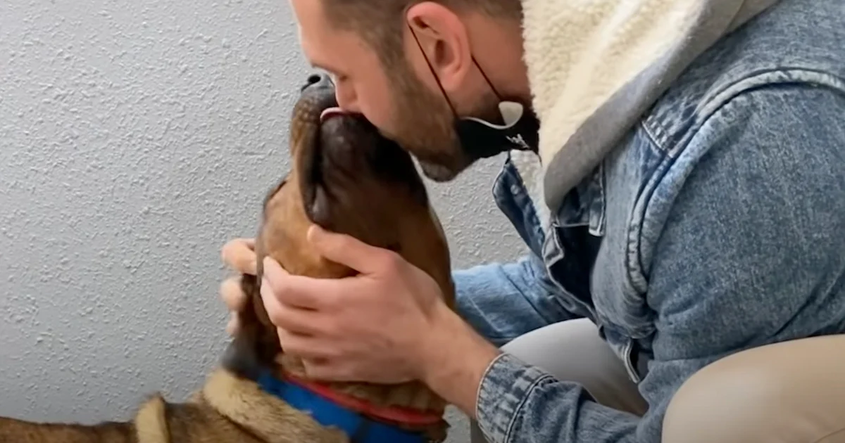 Man Meets Dog He’s Told Is ‘Aggressive’, Reads Note From Former Owners