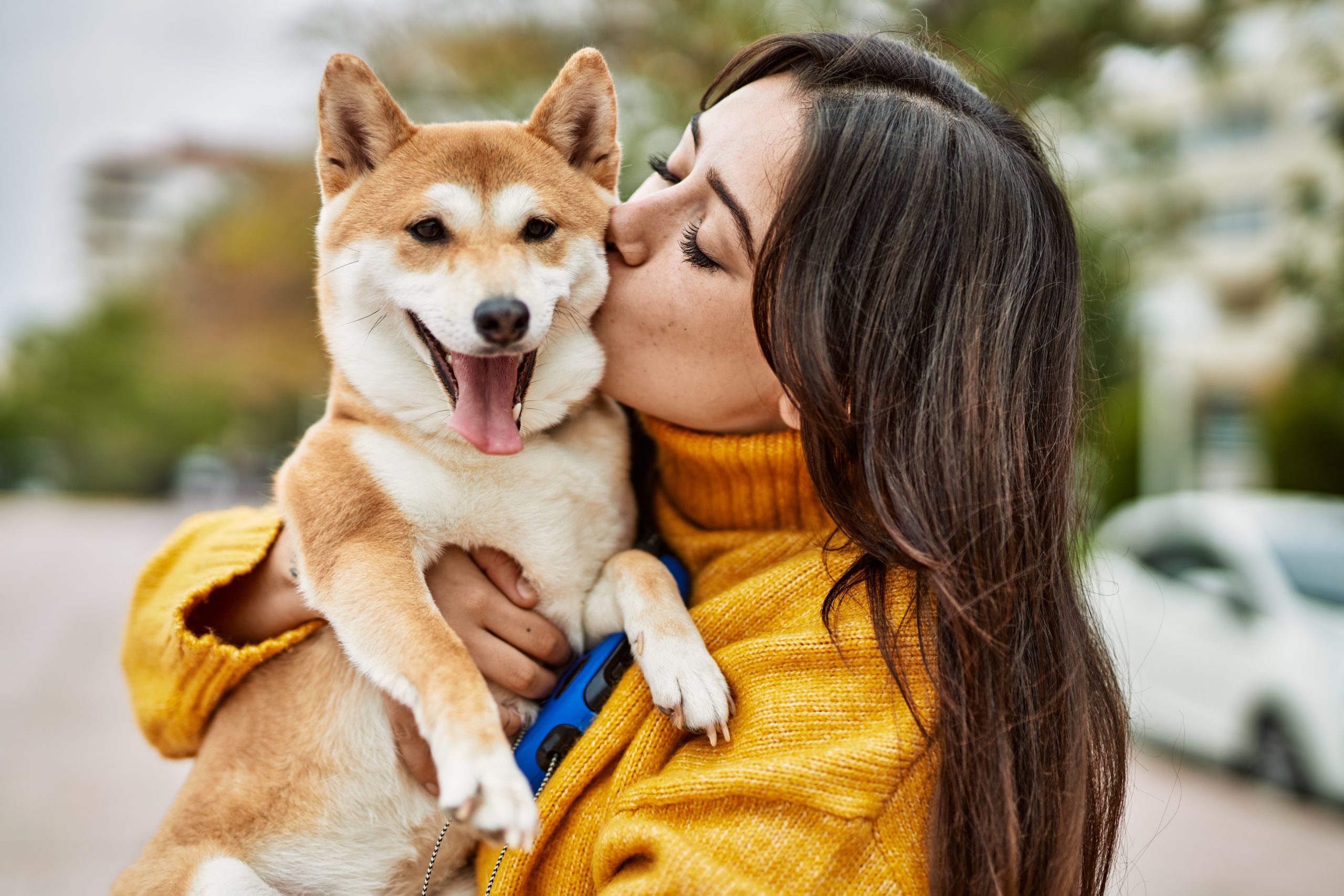 do dogs like hugs