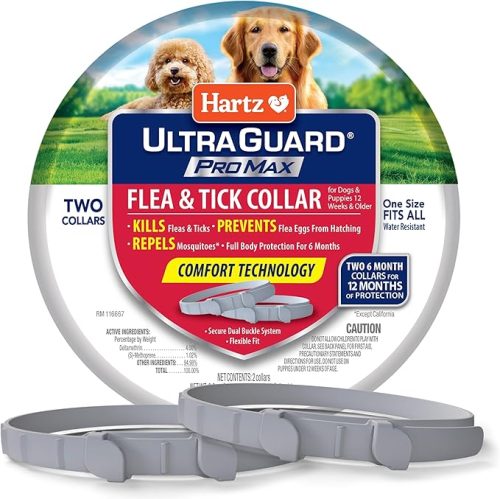 View of 5 Best Tick Collars for Dogs in 2025 - iHeartDogs.com