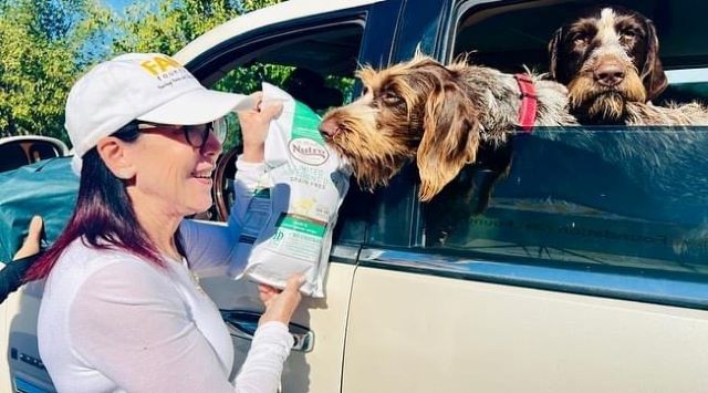 Giving food donations to dogs