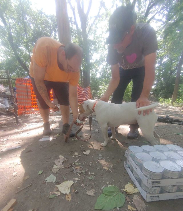 Homeless community feeds dogs