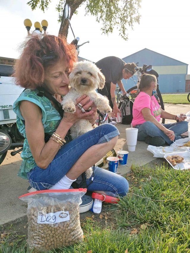 Homeless dog getting food donation