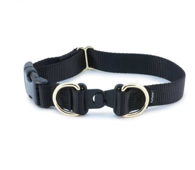 PetSafe KeepSafe Breakaway Dog Collar