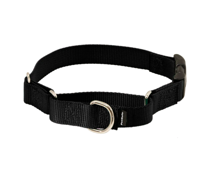 PetSafe Martingale Collar with Quick Snap Buckle
