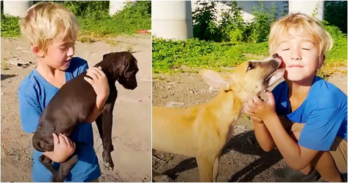 Vijfjarige pikt achtergelaten pet’s op en brengt ze naar mama’s auto