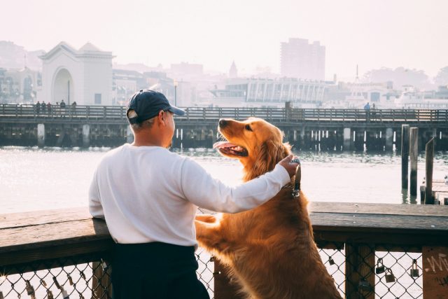 7 Breeds That Offer the Warmest Welcomes After Just a 5-Minute Absence thumbnail