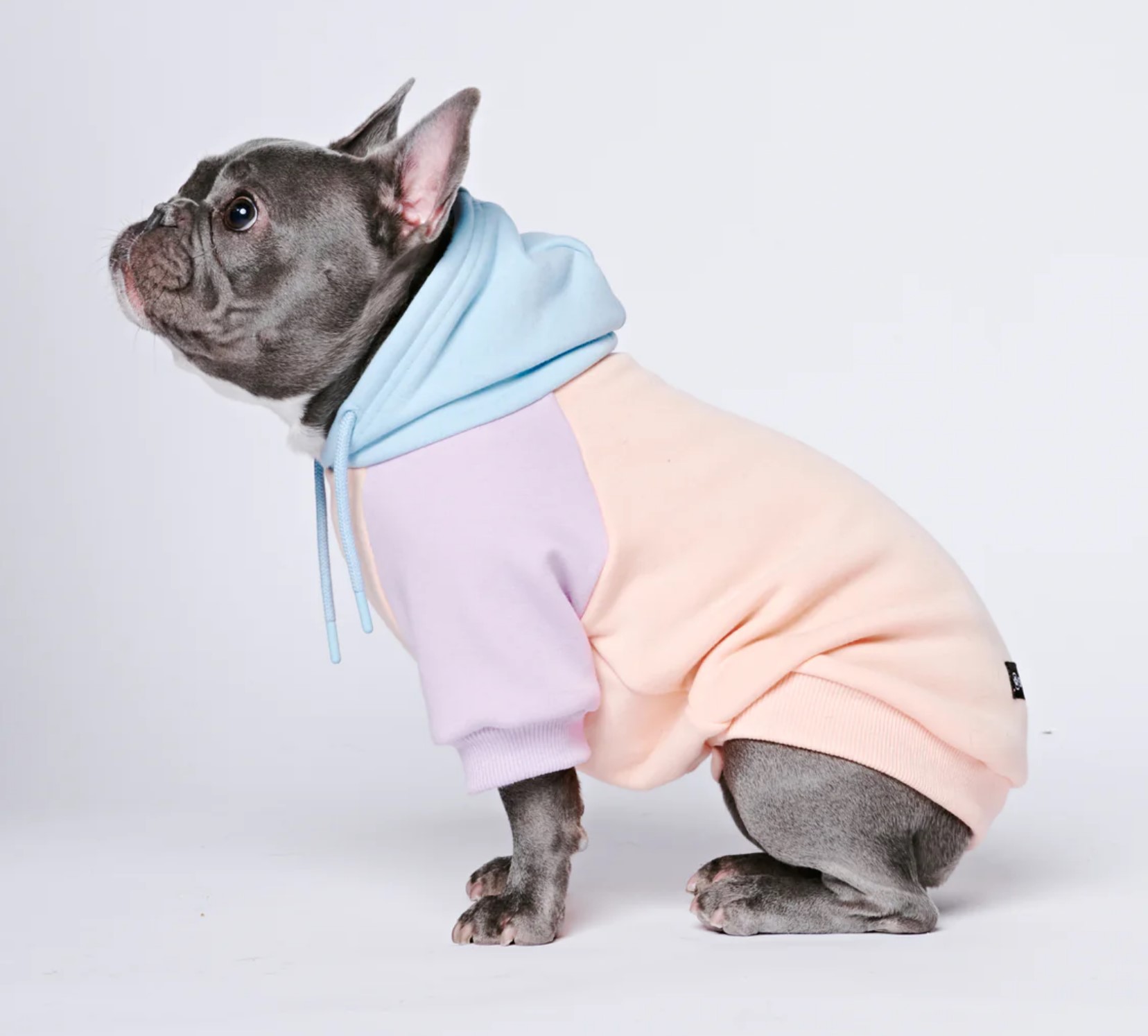 Spark Paws Cotton Candy Dog Hoodie