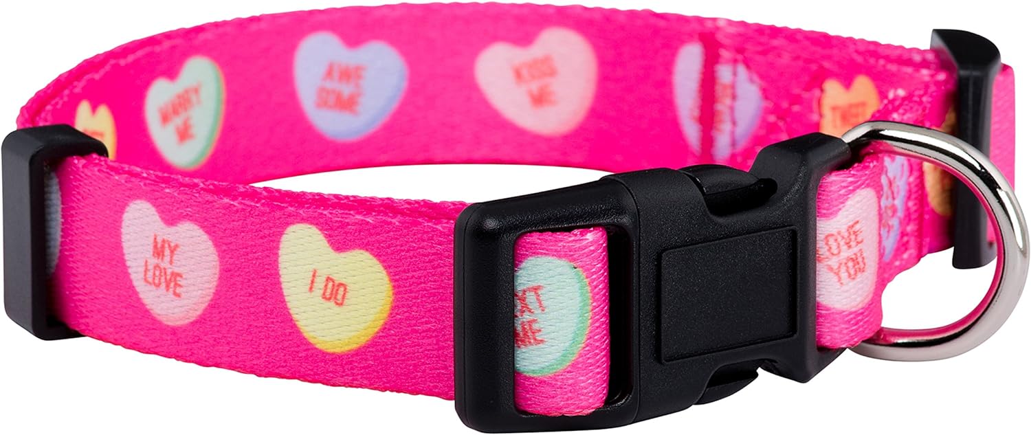 Native Pup Valentine's Day Heart Dog Collar (Candy Hearts)