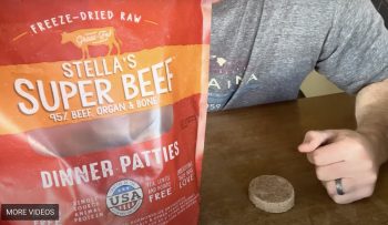 Stella & Chewy Freeze Dried Dog Food Review