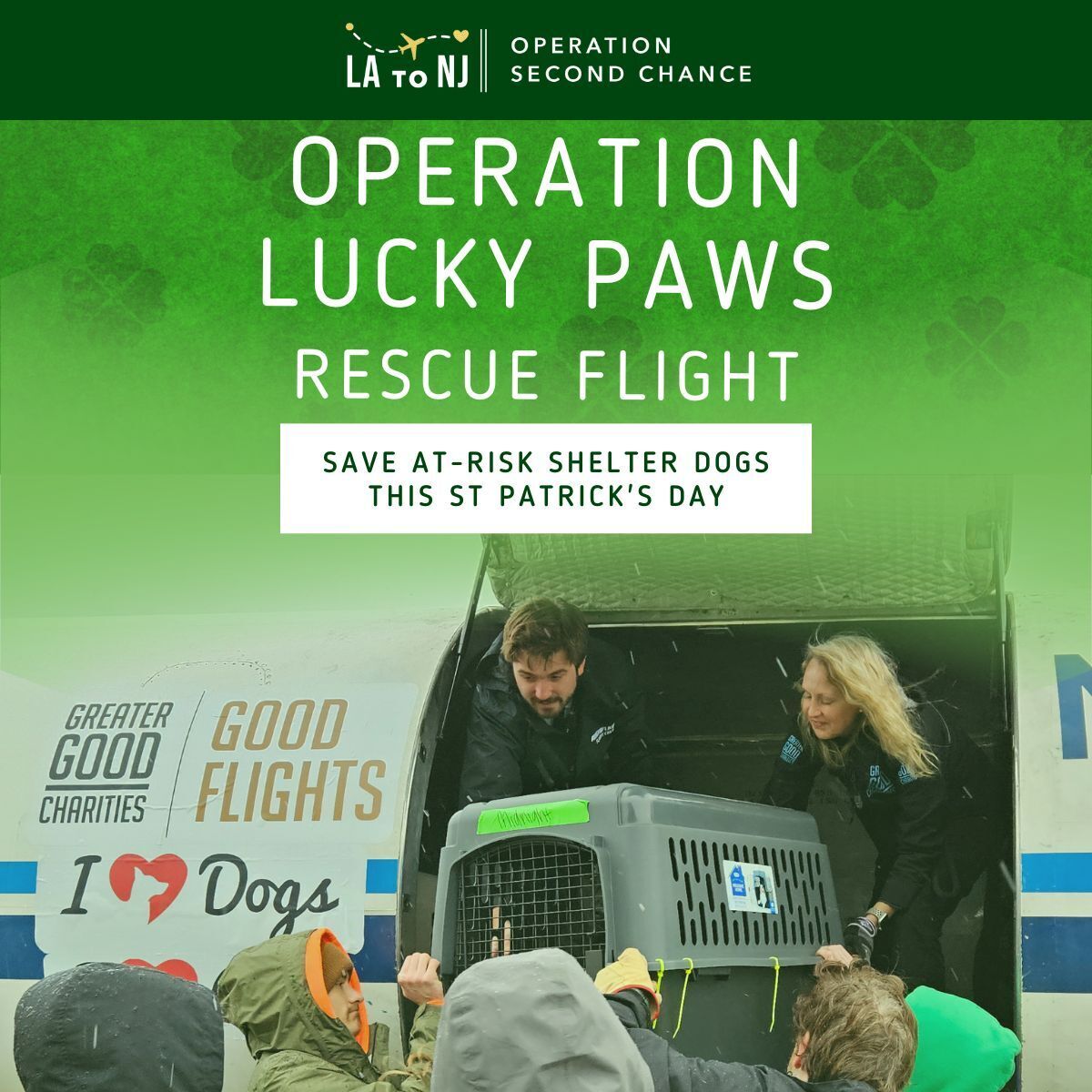 Last Chance: Avert Their Crisis Now! – Donate To Help Save At-Risk Shelter Dogs This St. Patrick's Day