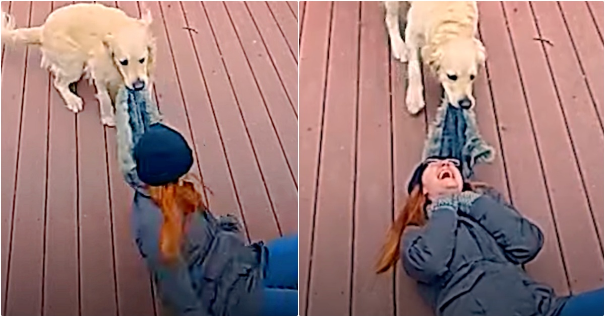 Woman Erupts Into Tear-Jerking Laughter At Dog’s ‘Devilish’ Behavior