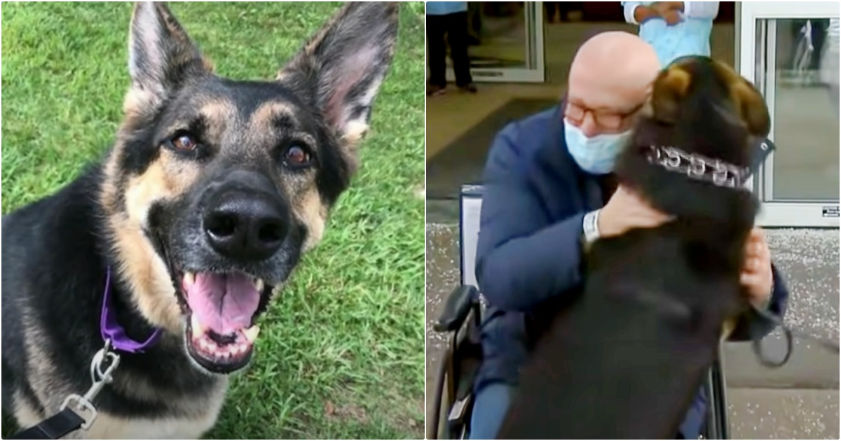 Man Rescues Dog Nobody Wanted And She Rescues Him Right Back