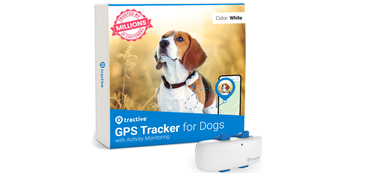 Tractive GPS Tracker & Health Monitoring for Dogs Review thumbnail