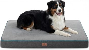 1 Add to cart Buy Now Ships from Amazon Sold by Bedsure Comfy Pet Returns FREE 30-day refund/replacement Gift options Available at checkout See more Add to Auto Buy Add to List Bedsure Memory Foam XL Dog Bed, Orthopedic Crate Pads, 41x29 | Dual-layer Foam Mat for Optimal Support,Comfy Plush Flannel Fleece Pet Pillow , Removable Washable Cover, Nonslip Bottom，Grey Click to see full view Product Image Product Image Product Image Product Image Product Image Product Image4+ Product Video 7 VIDEOS Alexa AI Ask Alexa Is it machine washable? Does it have a non-slip bottom? Can this be used outdoors? Why you might like this Compare with similar Bedsure Memory Foam XL Dog Bed