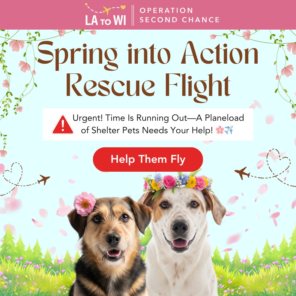 Second Chance Movement – Donate To Help Fund - Spring into Action Rescue Flight