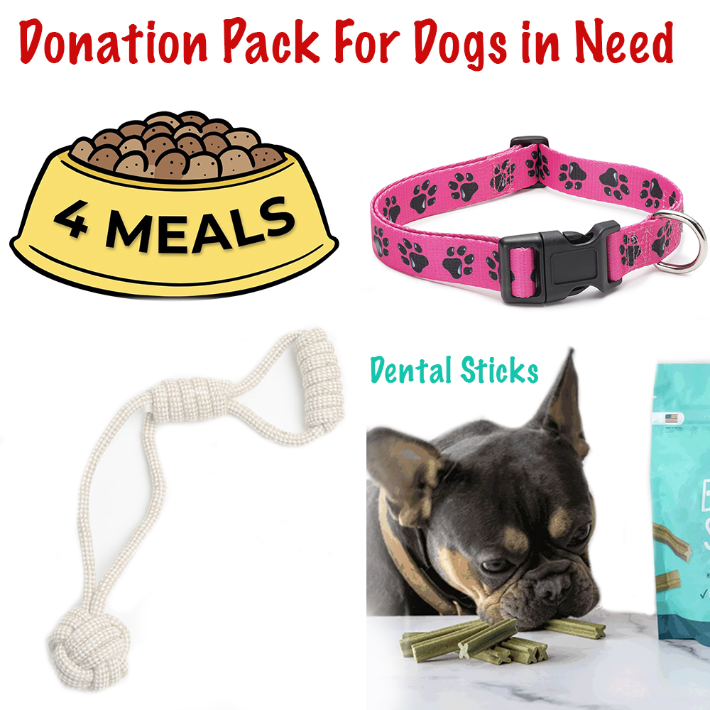 Name A Dog - Little Red Dog Rescue Care Package-  Includes:  A Rope Toy,  Dog Collar, 3 Dental Sticks & 4 Meals For Dogs In Need for $15.00