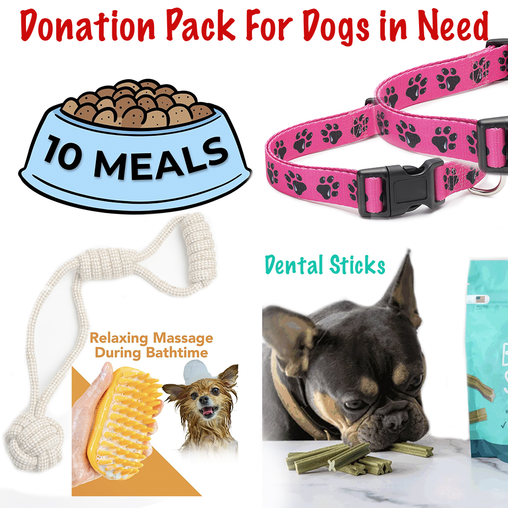 Name A Dog - Little Red Dog Rescue Care Package:  Includes 1 Rope Toy , 2 Dog Collars, Grooming Brush, 3 Dental  Sticks & 10 Meals for $30.00