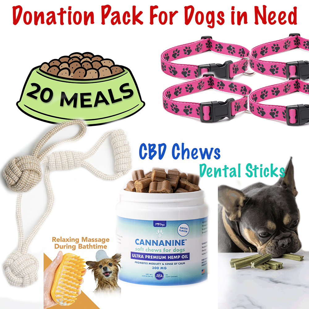 Name A Dog - Little Red Dog Rescue Care Package - Donate 2 Rope Toys,  4 Dog Collars, Grooming Brus,  5 CBD Chews,  6 Dental Sticks & 20 Meals for $50.00