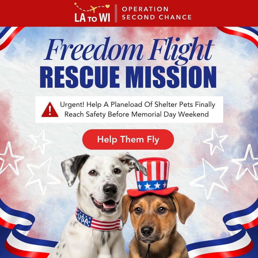 Freedom Flight Rescue Mission – Donate To Help Fund Flights for At-Risk Shelter Dogs to Safety