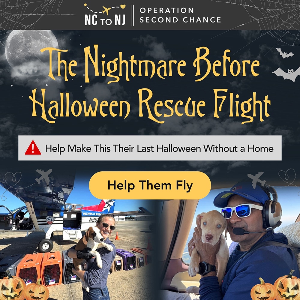 Second Chance Movement™ – Donate To Help Fund The Nightmare Before Halloween Rescue Flight