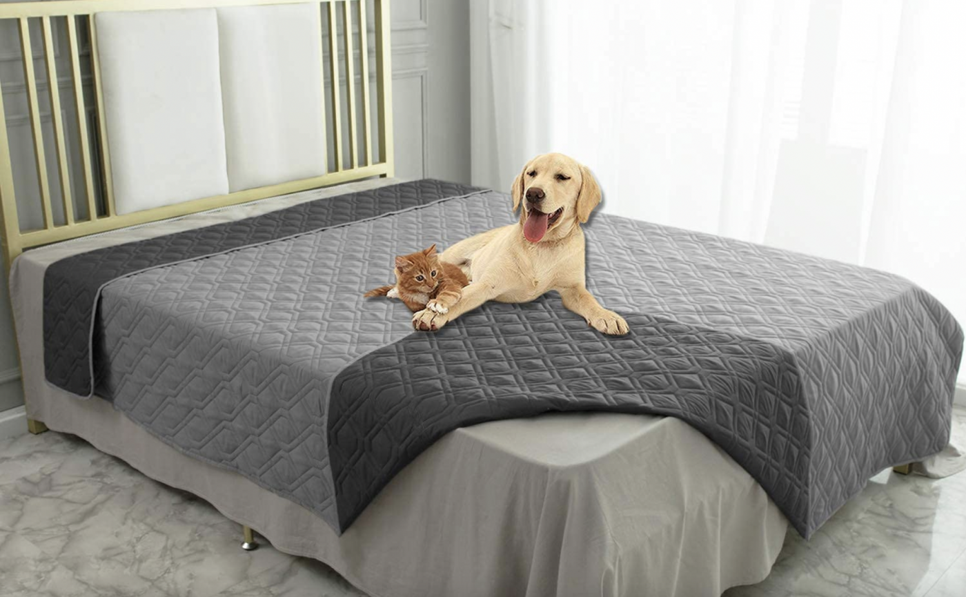 5 Best Pet Hair Resistant Bedding Products of 2024