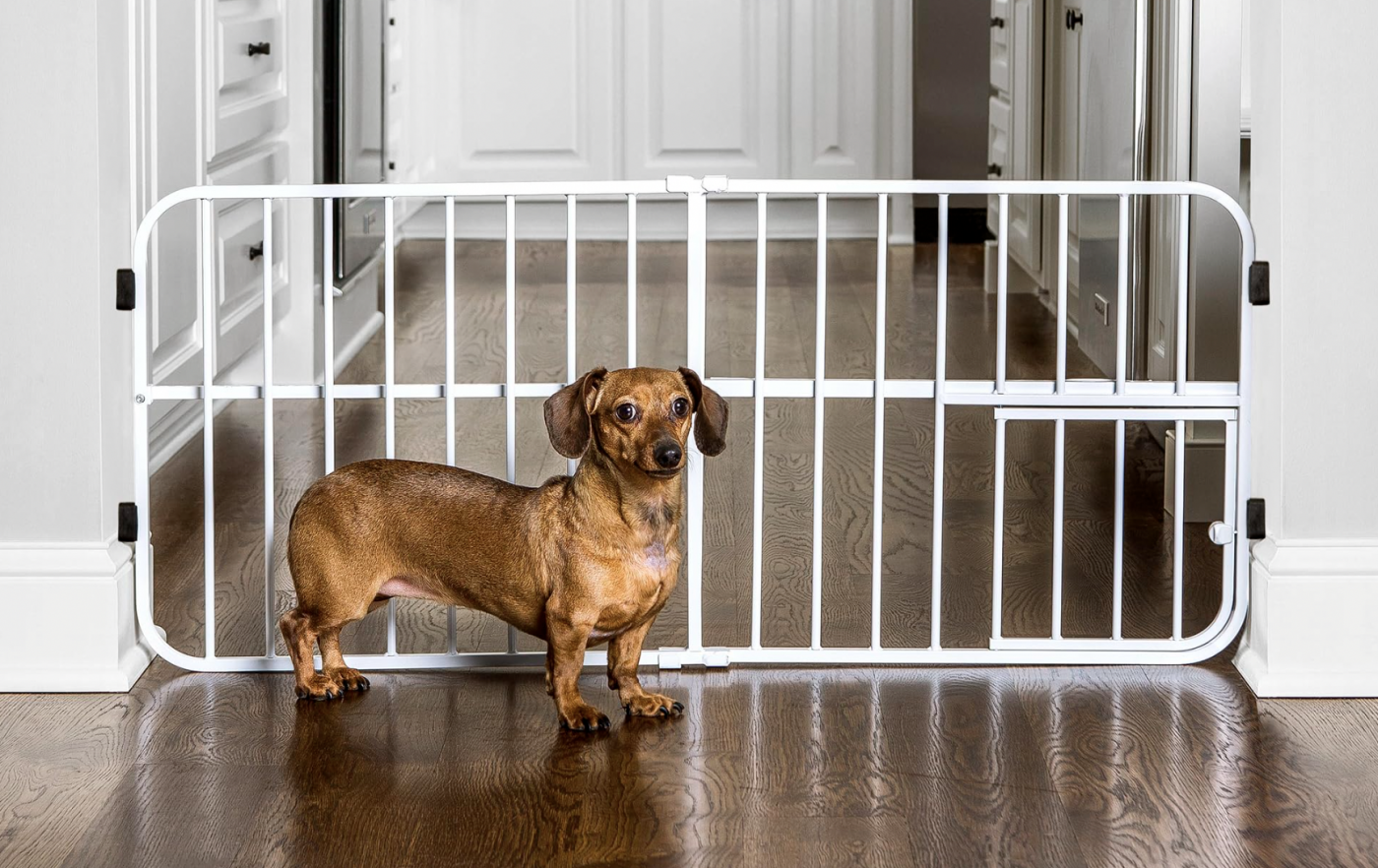 7 Best Mini Dog Gates (2024)