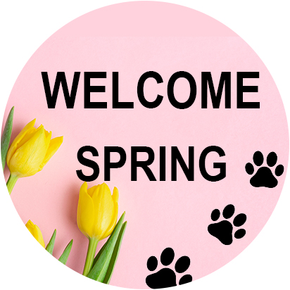 Spring Has Sprung for Dog Lovers  Products