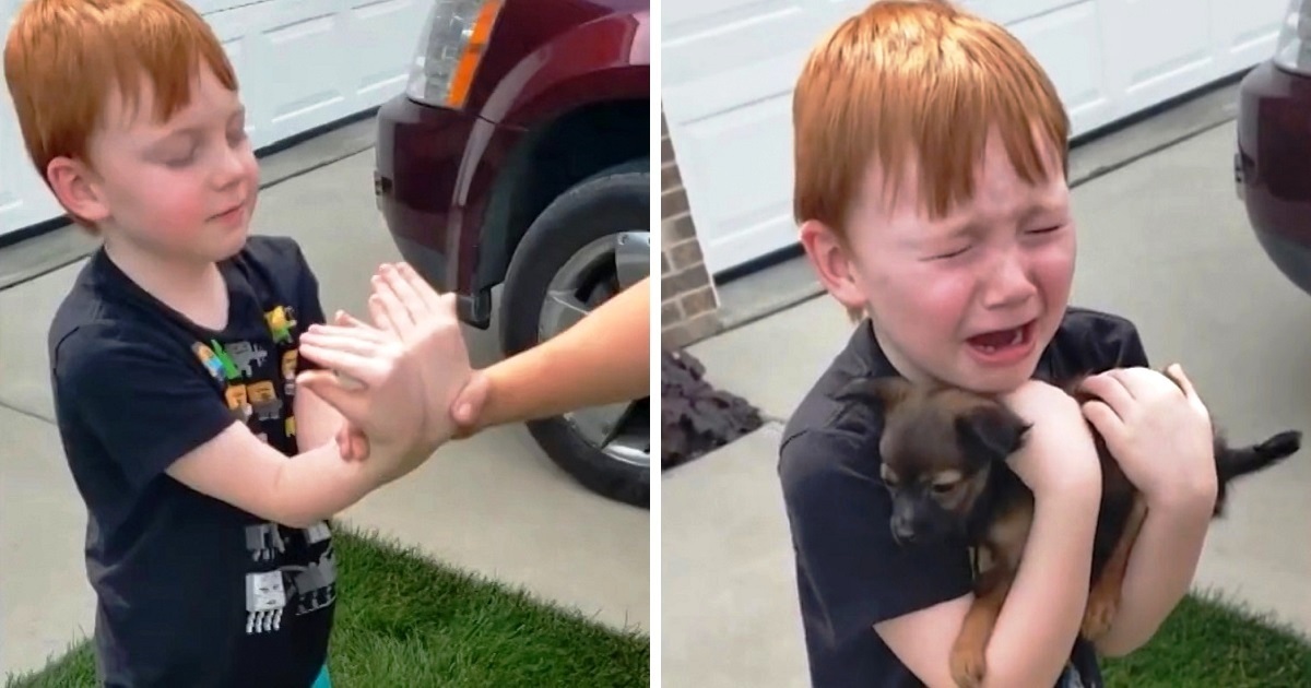 Boy Was Saving To Buy Puppy, But Grandma Asks Him To Close His Eyes And Stretch His Arms thumbnail