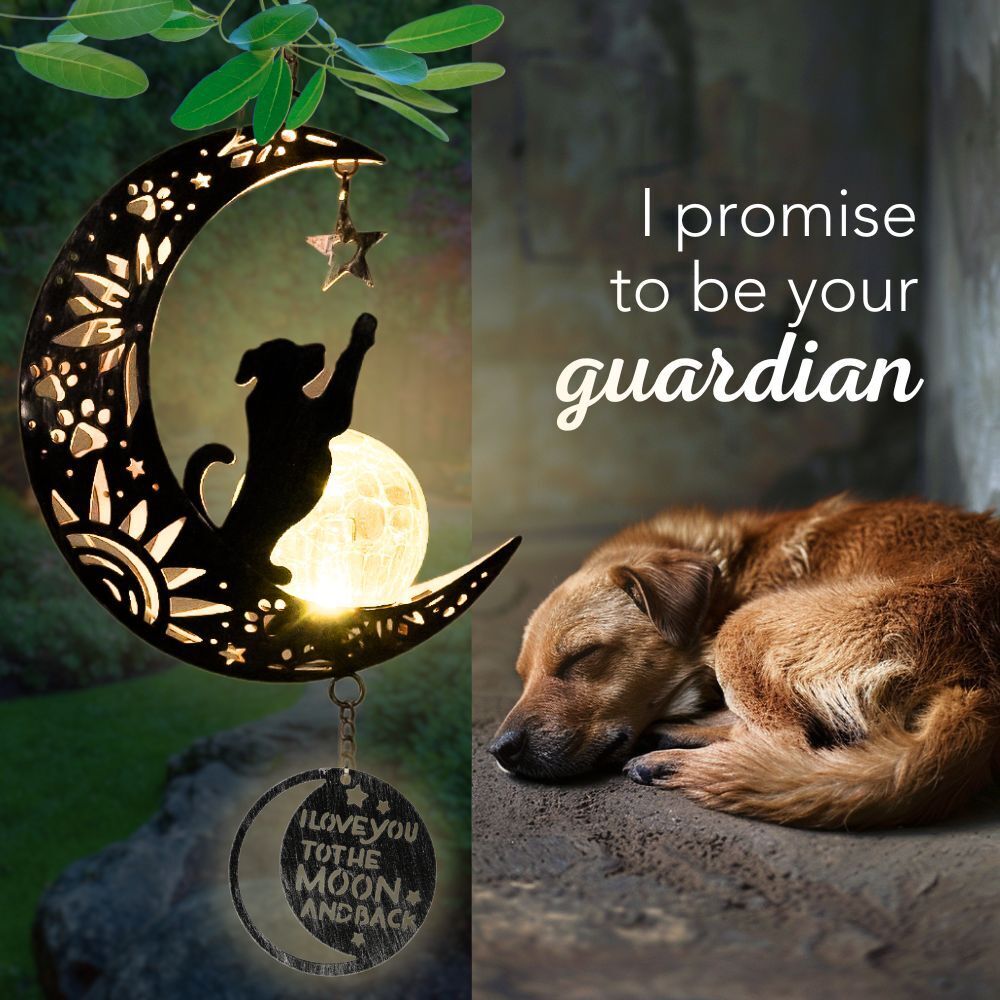 Guardian's Promise Starlight Lantern