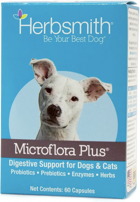 probiotics for dogs on Chewy