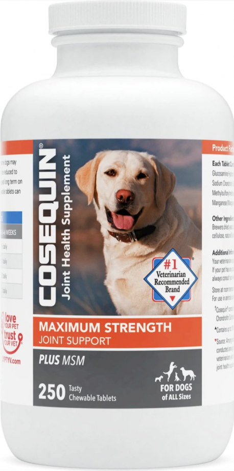Dog Hip & Joint Supplements