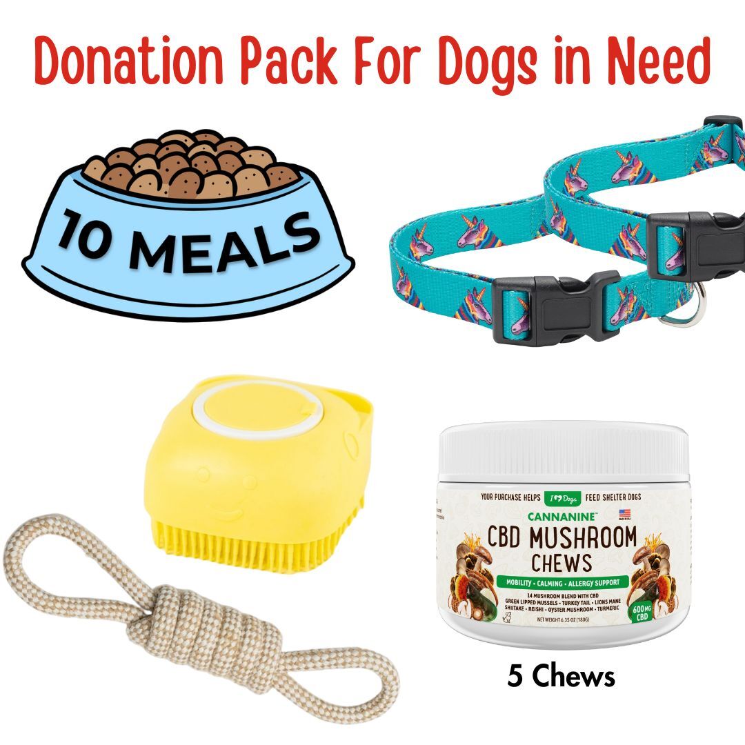 Name A Dog - Dallas Dog Rescue Care Package- Donate 1 Bath Brush Scrubber, 1 Perfect Tug Knot Rope Toy, 2 Dog Collars, 5 Hemp Mushroom Chews & 10 Meals for $30