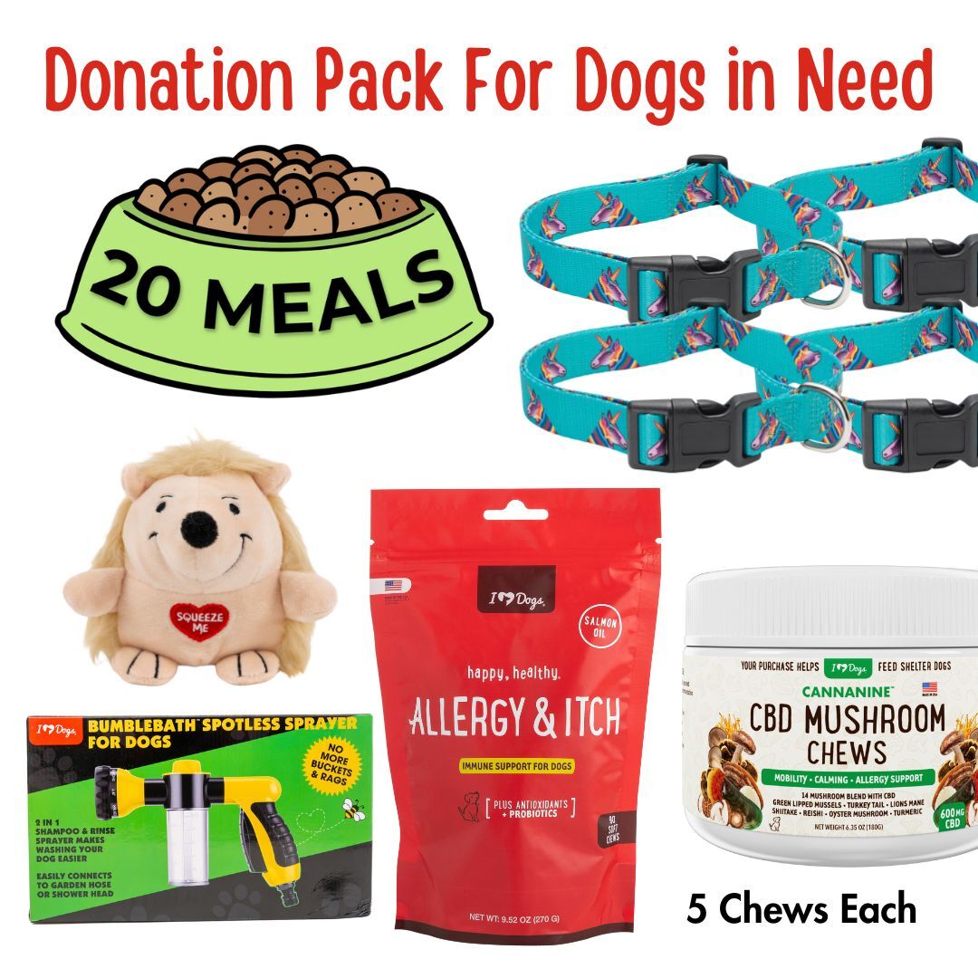 Name A Dog - Dallas Dog Rescue Care Package - Donate 1 Bumble Bath Sprayer, 1 Plush Hedgehog Ball, 4 Collars, 5 Allergy & Itch Chews, 5 Hemp Mushroom Chews & 20 Meals for $50