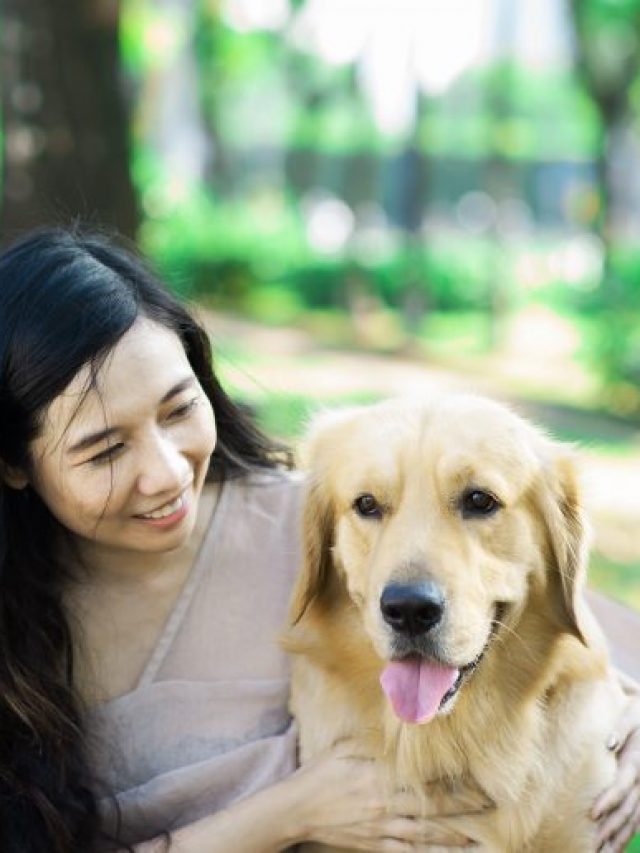 7 Dog Breeds That Show Unconditional Love in the Purest Form